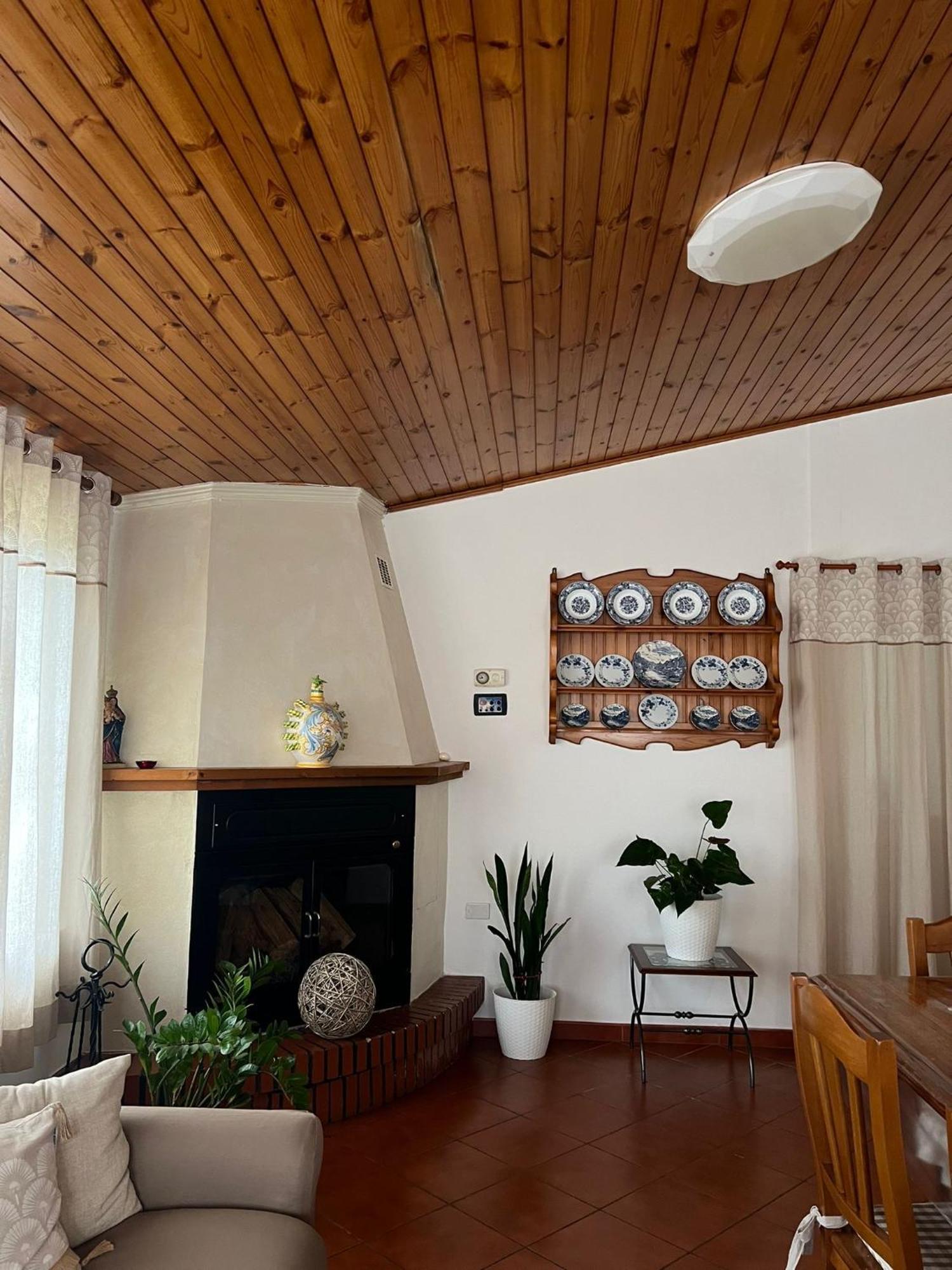 Vila Cycas Cellole Exteriér fotografie